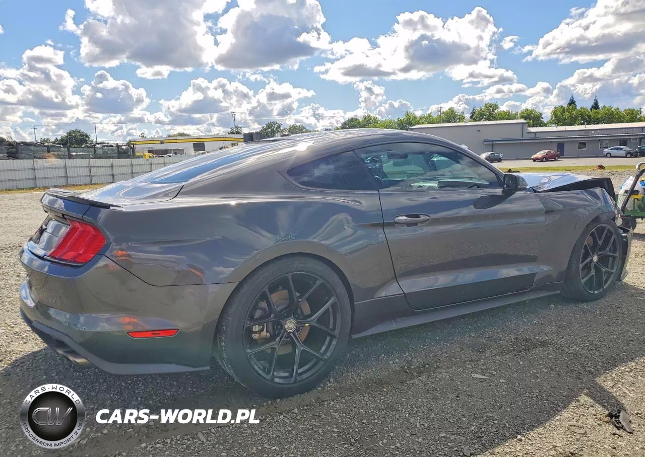 2020 Ford Mustang Gt VIN:1FA6P8CF0L5125159 - 3