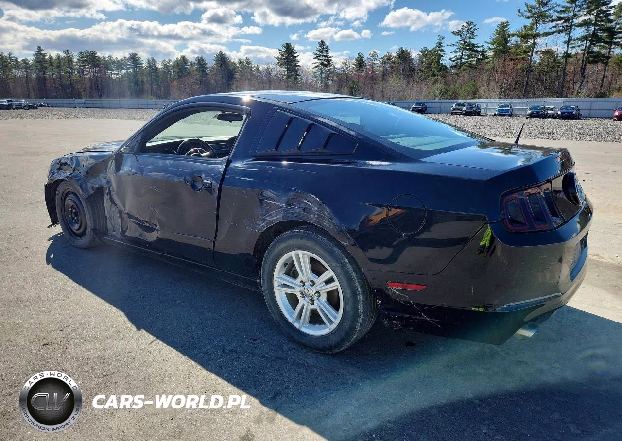 2014 Ford Mustang VIN:1ZVBP8AM0E5294026 - 2