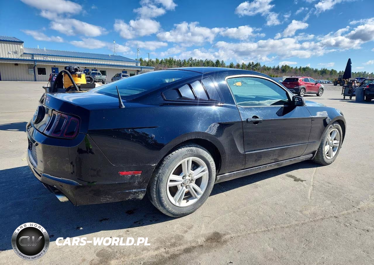 2014 Ford Mustang VIN:1ZVBP8AM0E5294026 - 3