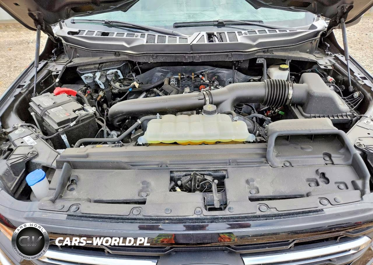 2024 Ford F150 Xlt VIN:1FTFW3L89RFA27820 - 11