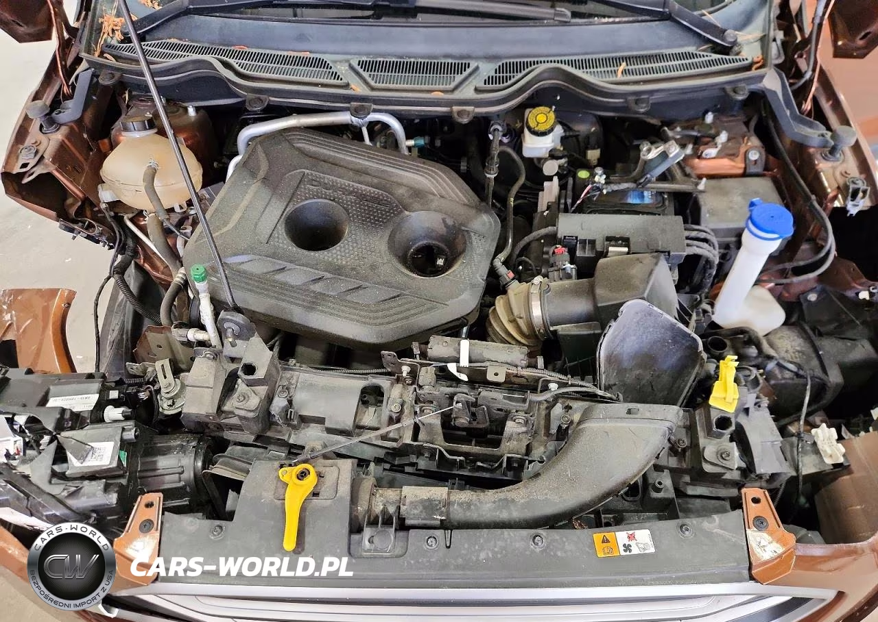2019 Ford Ecosport Se VIN:MAJ6S3GL3KC294846 - 12