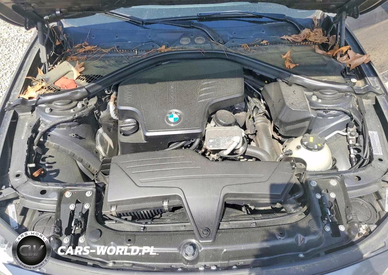 2015 BMW 328 Xi VIN:WBA3G7C55FK297589 - 11