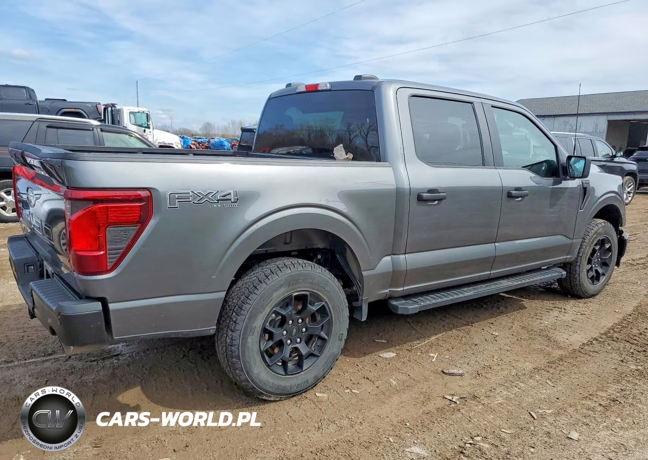 2025 Ford F150 Stx VIN:1FTEW2LP3SKD99728 - 3