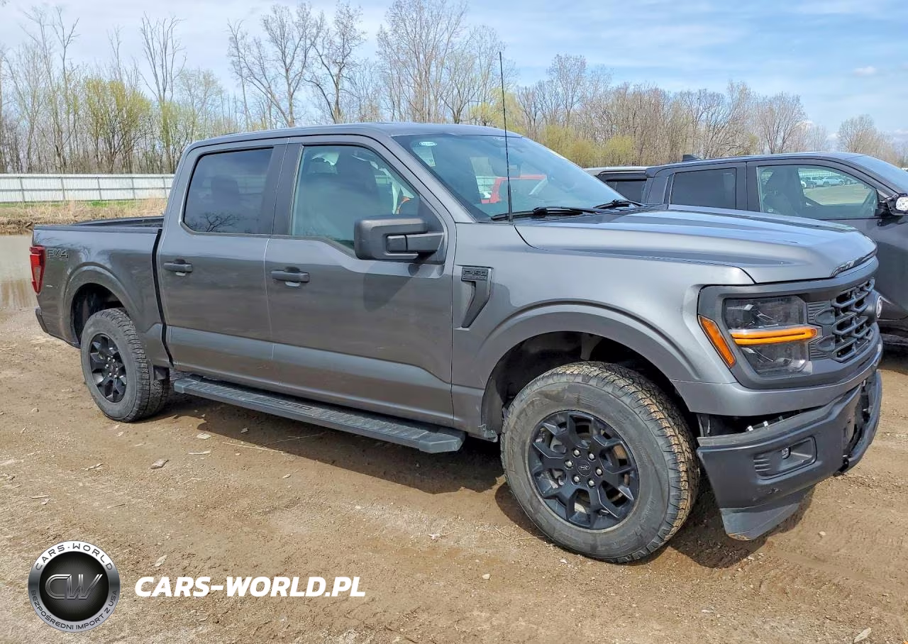 2025 Ford F150 Stx VIN:1FTEW2LP3SKD99728 - 4