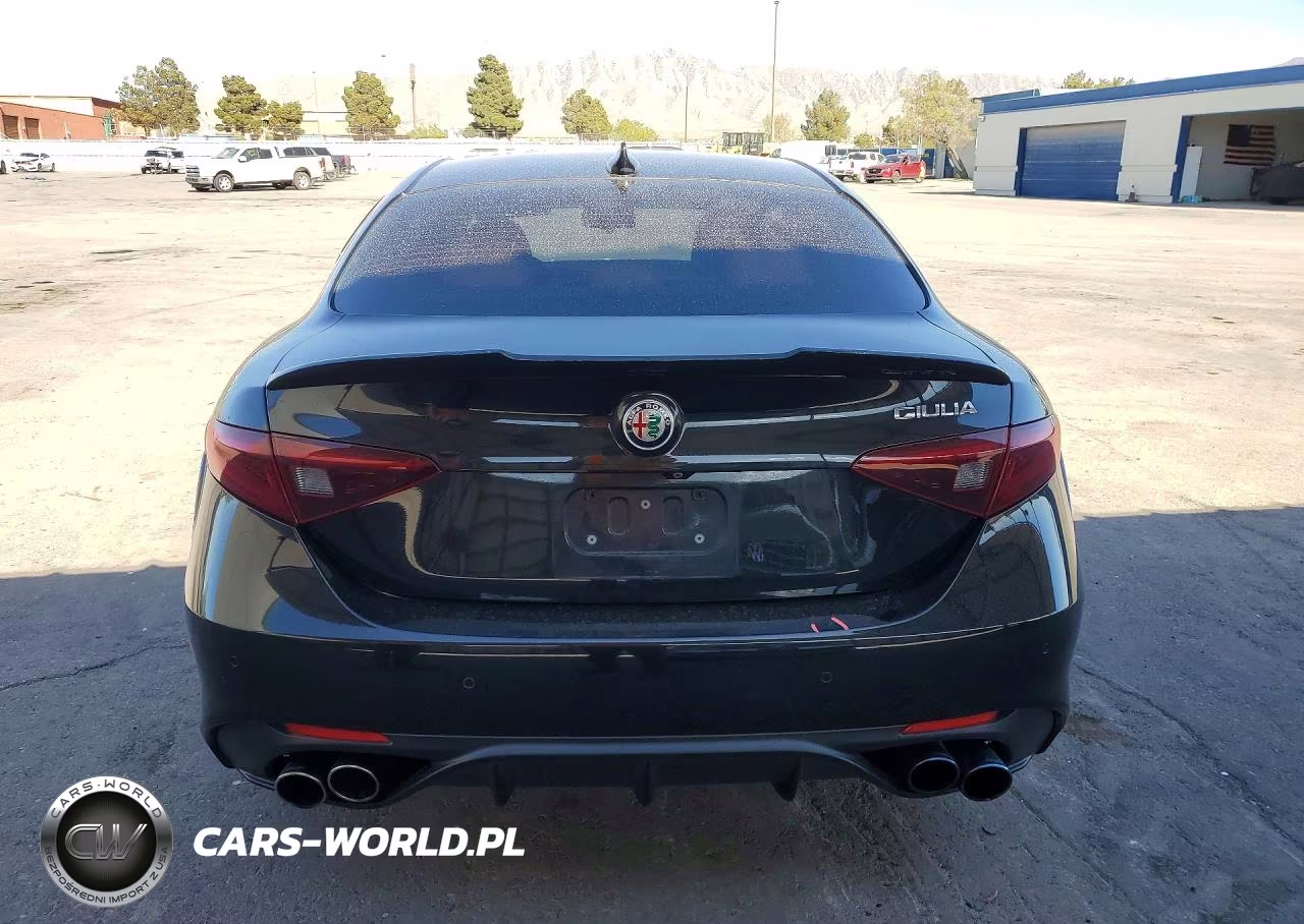 2019 Alfa Romeo Giulia Ti VIN:ZARFAMBN3K7606612 - 6