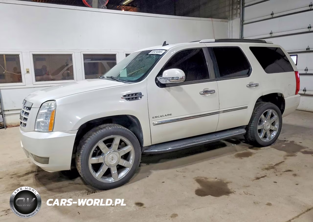 2010 Cadillac Escalade Luxury