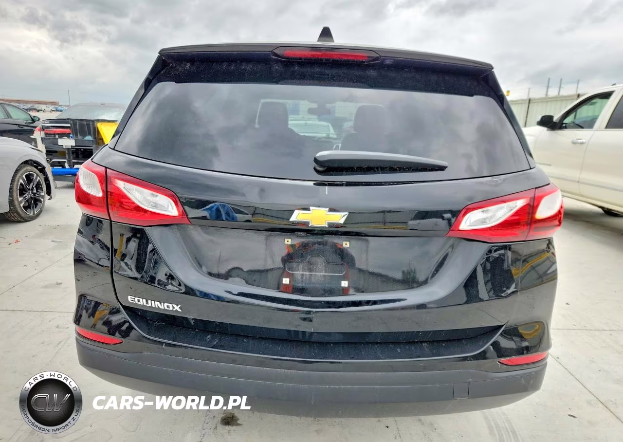 2019 Chevrolet Equinox Ls VIN:2GNAXHEV4K6293003 - 6