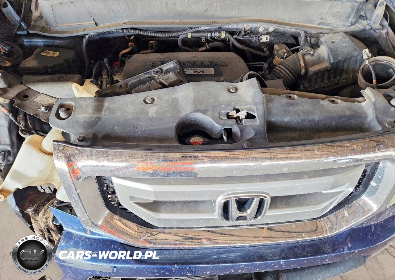 2010 Honda Pilot Exl VIN:5FNYF4H50AB004027 - 12