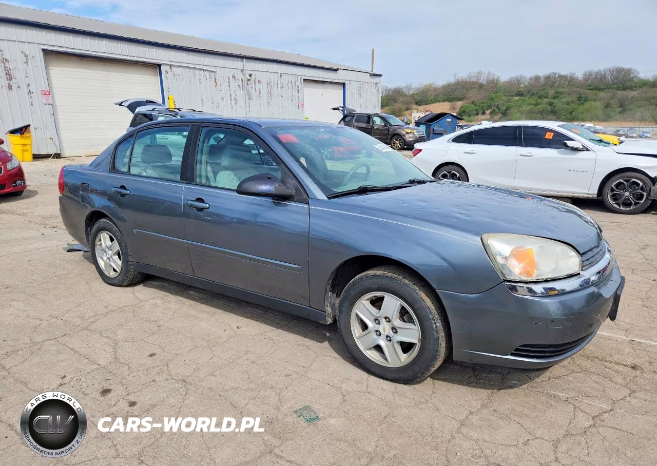 2005 Chevrolet Malibu Ls VIN:1G1ZT54815F341206 - 4
