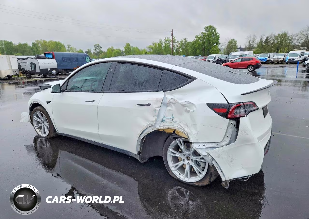 2023 Tesla Model Y VIN:7SAYGDEEXPF815640 - 2