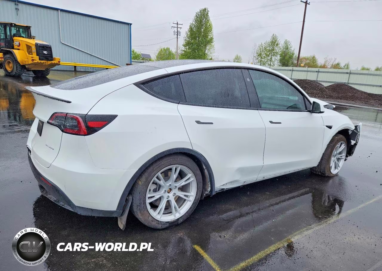 2023 Tesla Model Y VIN:7SAYGDEEXPF815640 - 3