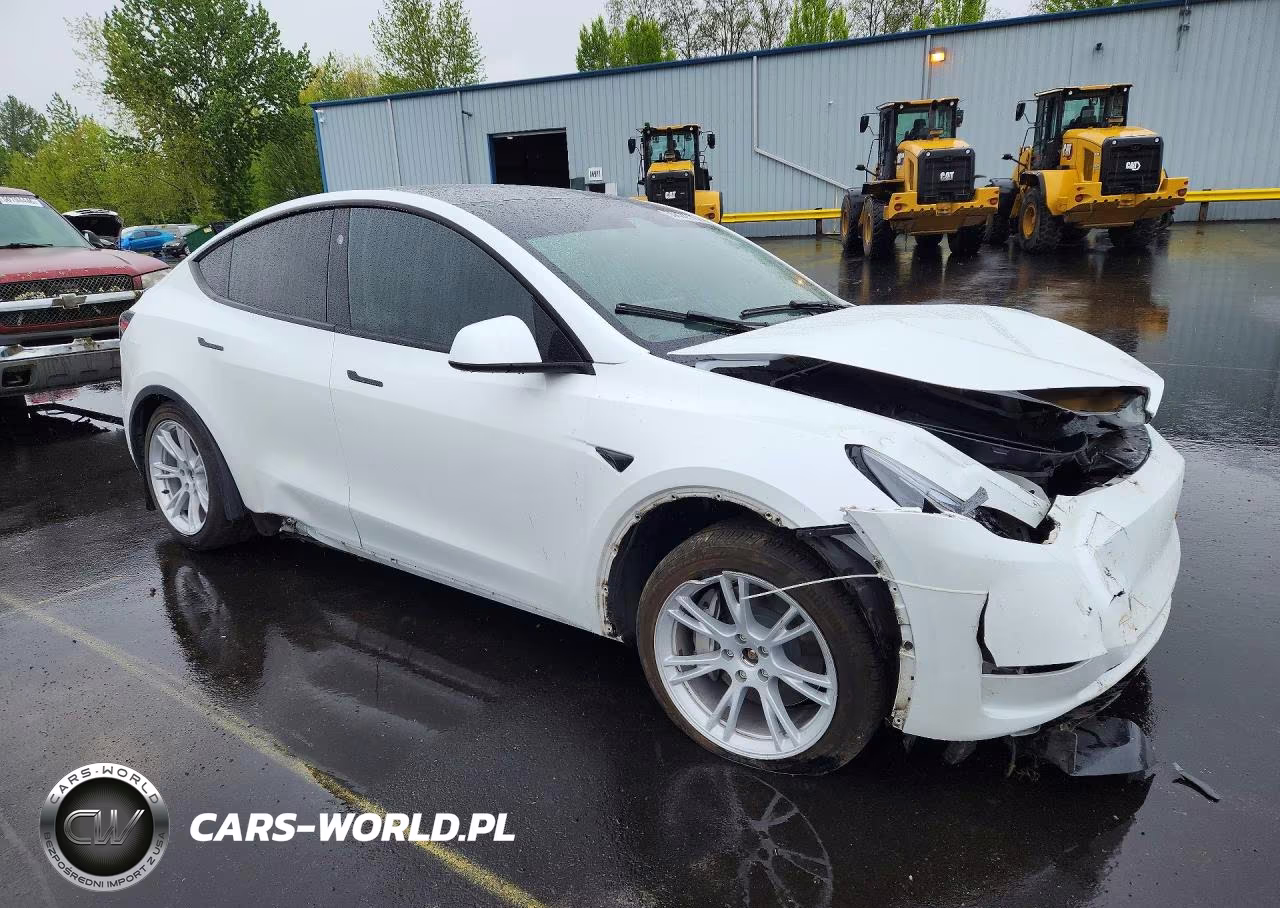 2023 Tesla Model Y VIN:7SAYGDEEXPF815640 - 4