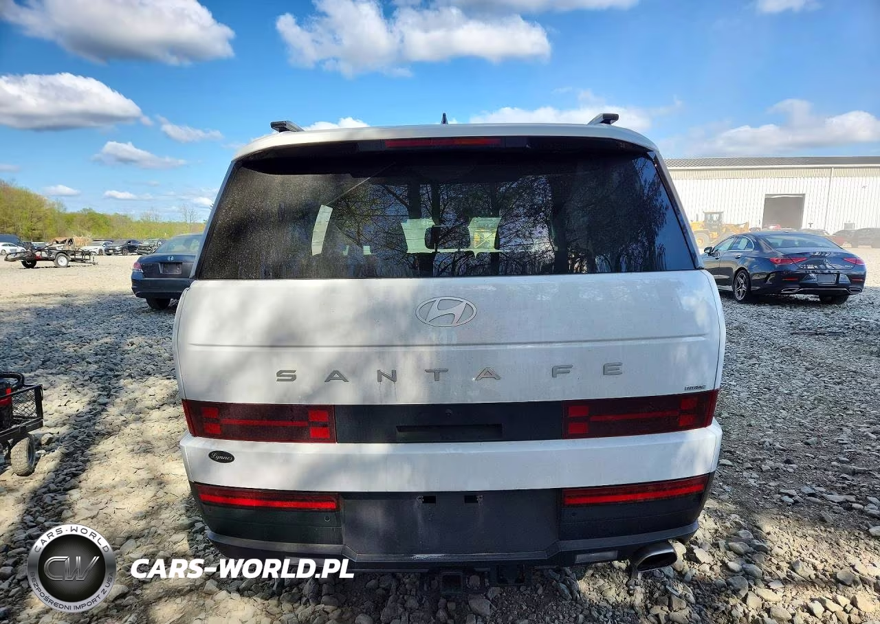 2025 Hyundai Santa Fe Sel VIN:5NMP2DGL5SH108665 - 6