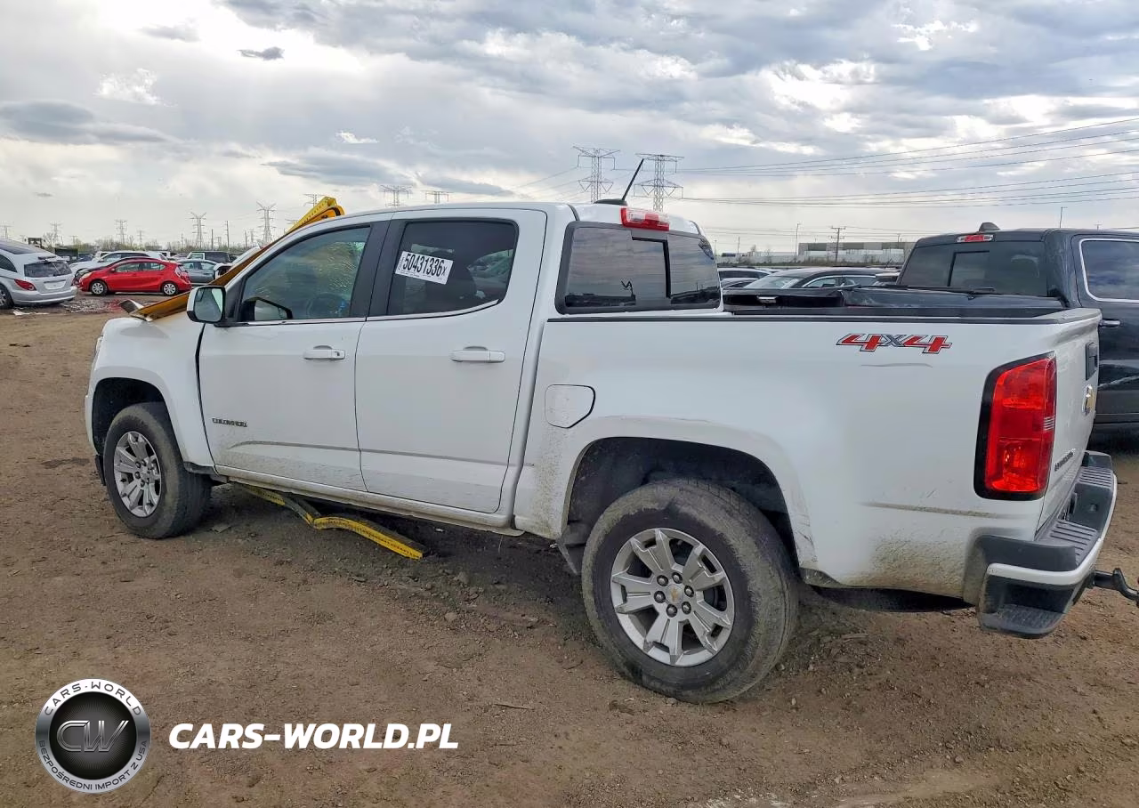 2019 Chevrolet Colorado Lt VIN:1GCGTCEN4K1169317 - 2