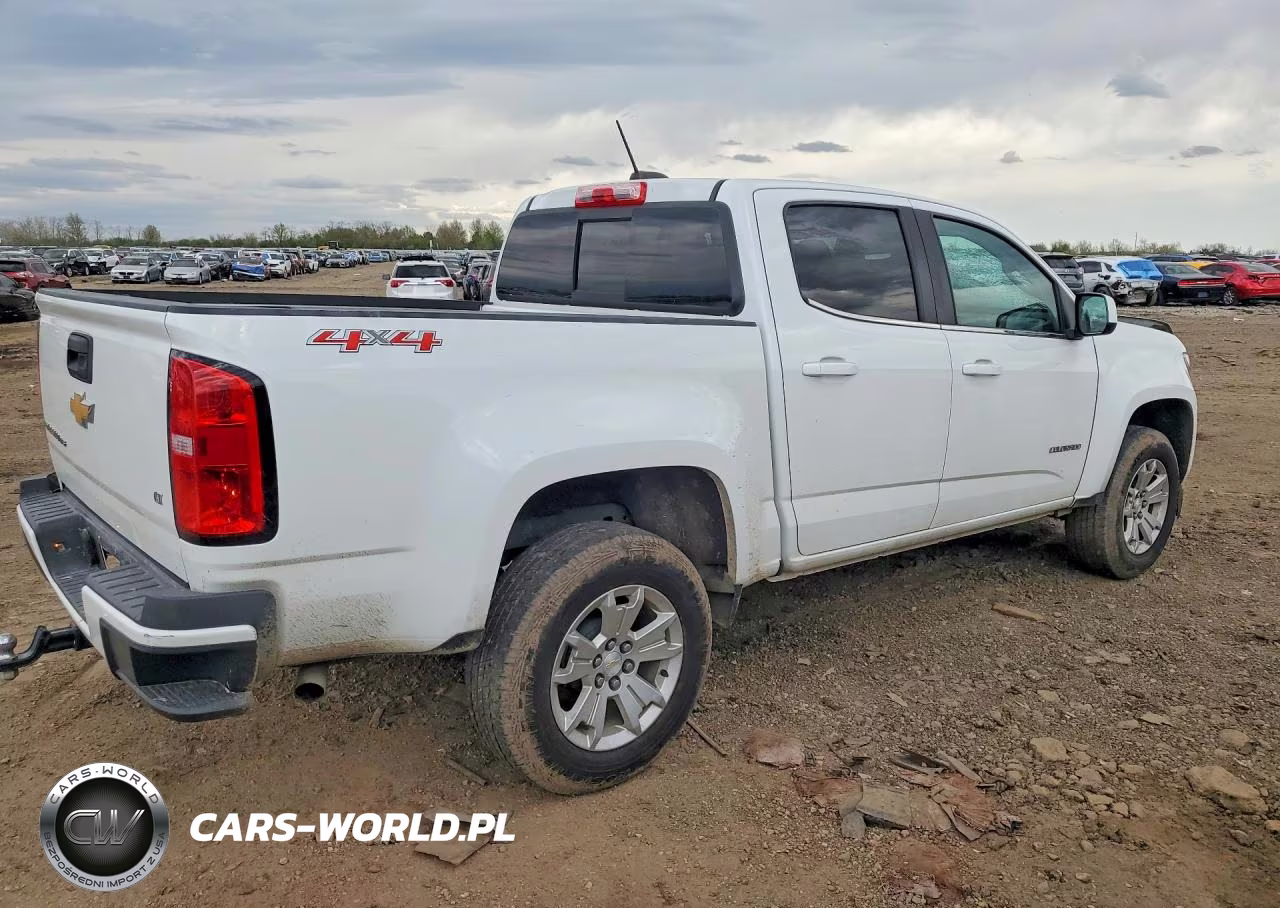 2019 Chevrolet Colorado Lt VIN:1GCGTCEN4K1169317 - 3
