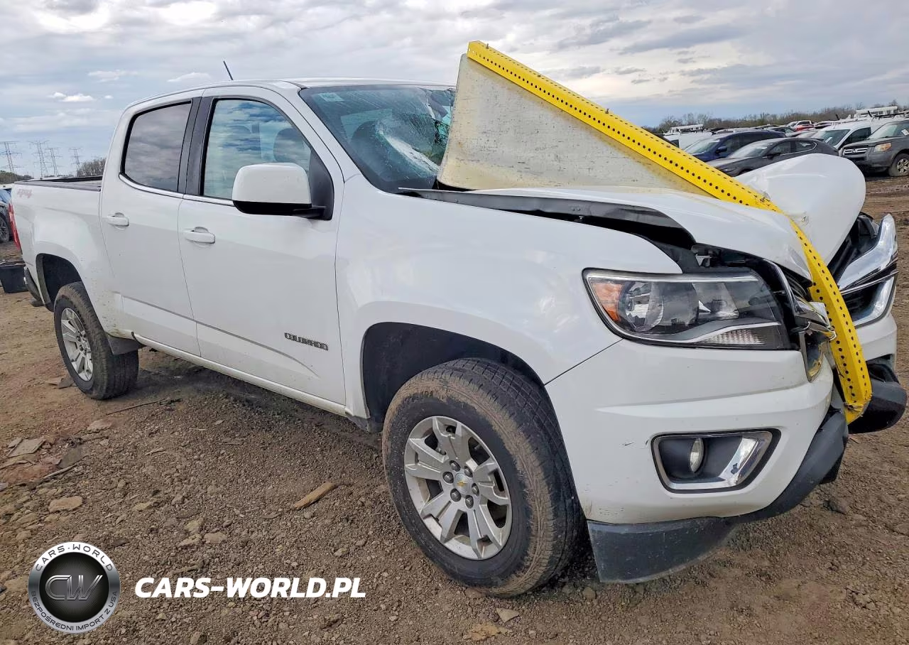 2019 Chevrolet Colorado Lt VIN:1GCGTCEN4K1169317 - 4