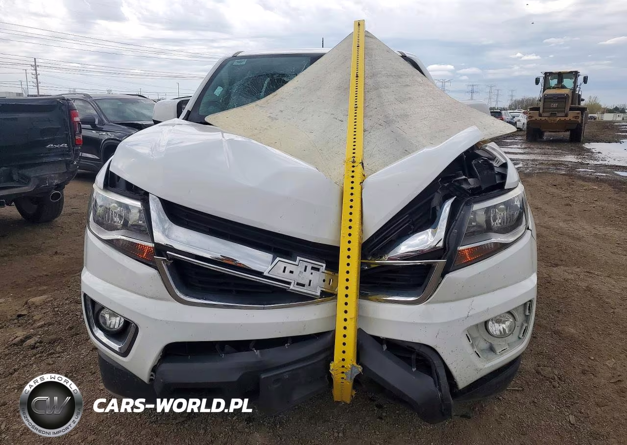 2019 Chevrolet Colorado Lt VIN:1GCGTCEN4K1169317 - 5