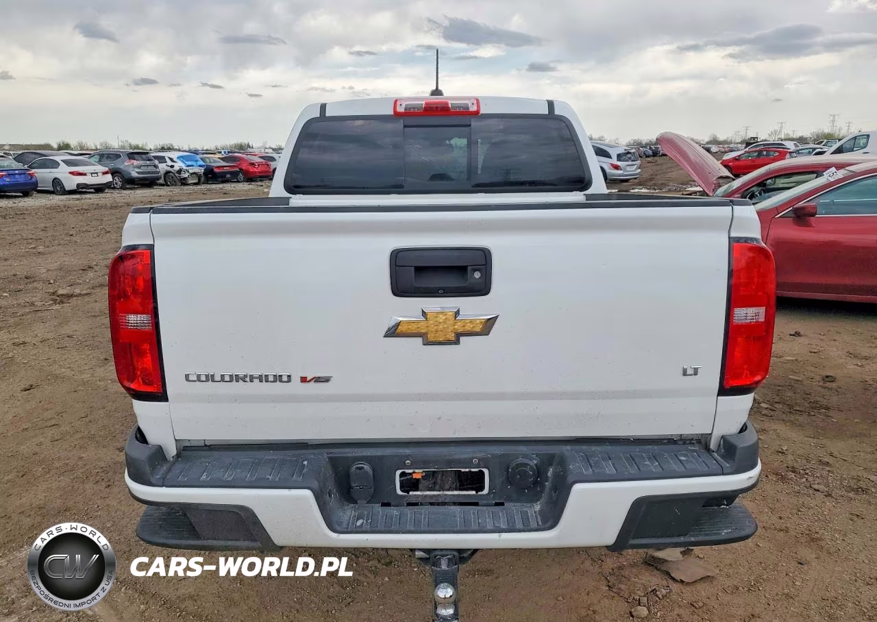 2019 Chevrolet Colorado Lt VIN:1GCGTCEN4K1169317 - 6