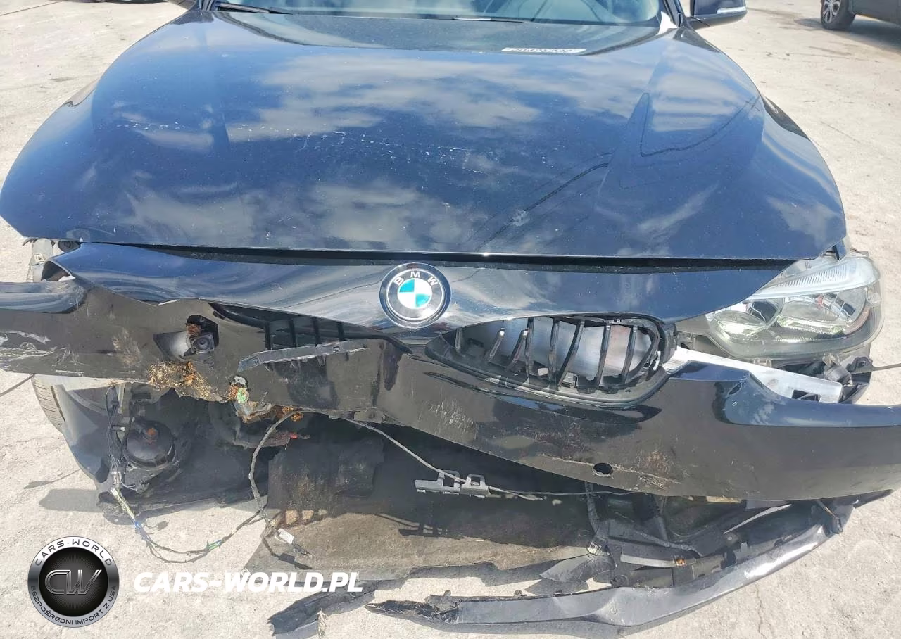 2017 BMW 320 Xi VIN:WBA8E5G30HNU44654 - 11