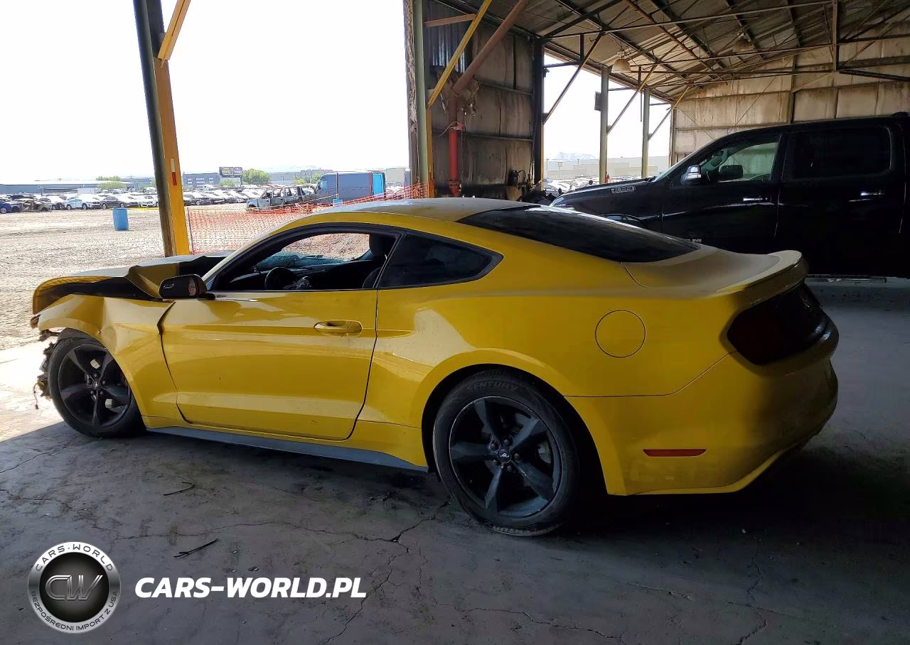 2015 Ford Mustang VIN:1FA6P8AM5F5382405 - 2
