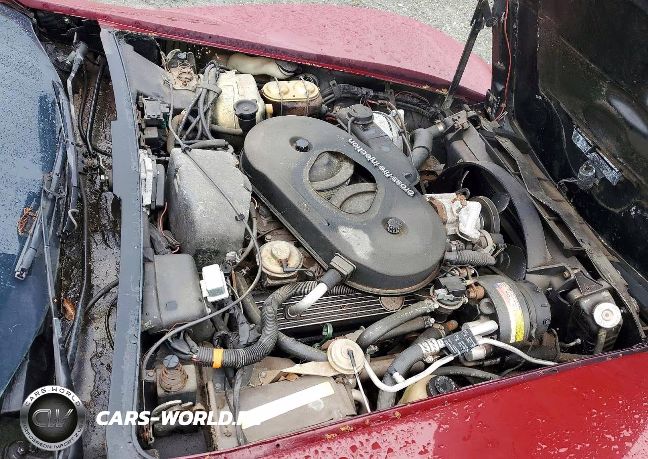 1982 Chevrolet Corvette VIN:1G1AY8786C5108775 - 11