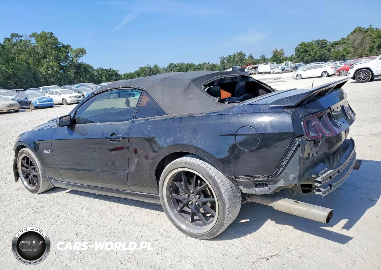 2013 Ford Mustang Gt VIN:1ZVBP8FF4D5272510 - 2