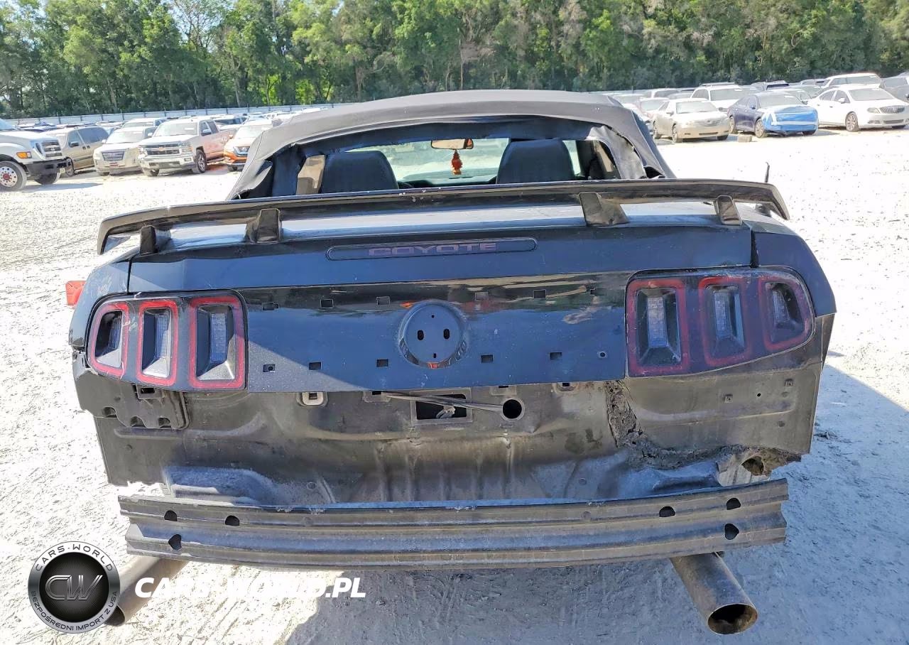 2013 Ford Mustang Gt VIN:1ZVBP8FF4D5272510 - 6