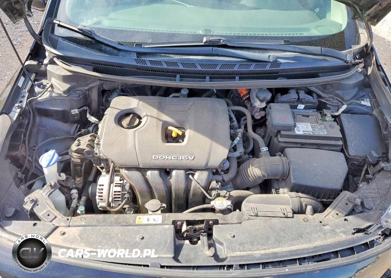 2018 Kia Forte Lx VIN:3KPFK4A74JE236683 - 11