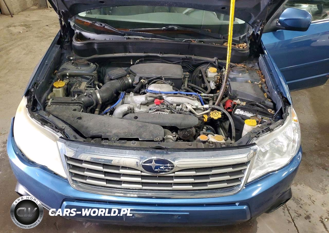 2010 Subaru Forester 2.5X Limited VIN:JF2SH6DC8AH780570 - 12