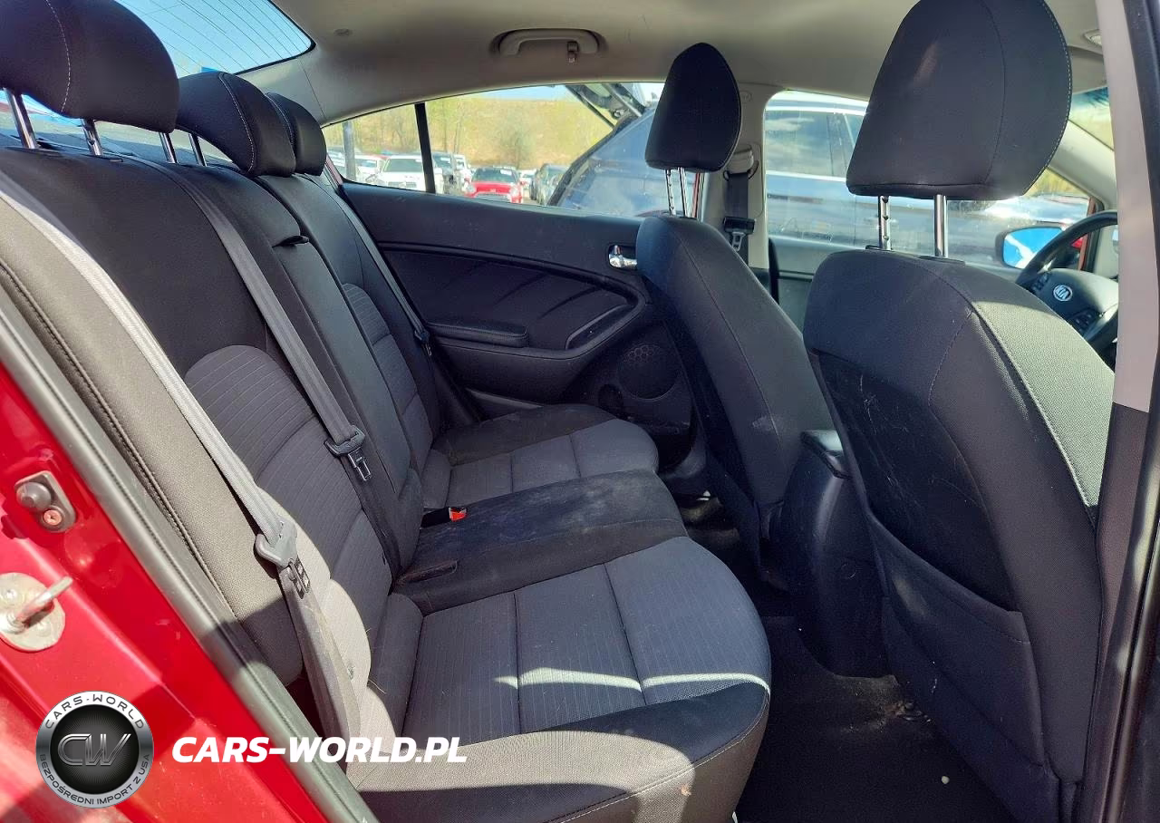 2015 Kia Forte Lx VIN:KNAFX4A69F5436810 - 10