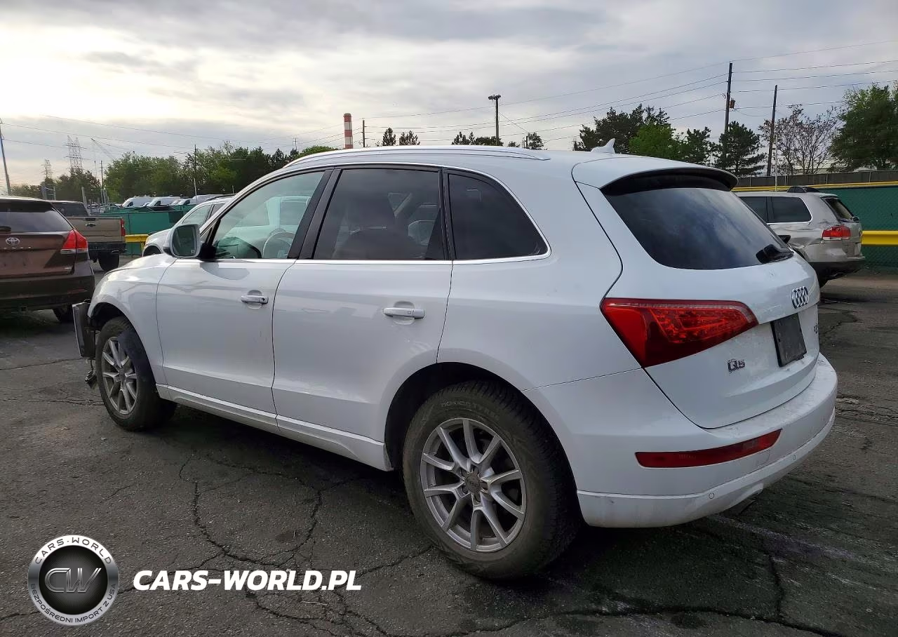 2011 Audi Q5 Premium Plus VIN:WA1LFAFP2BA029979 - 2
