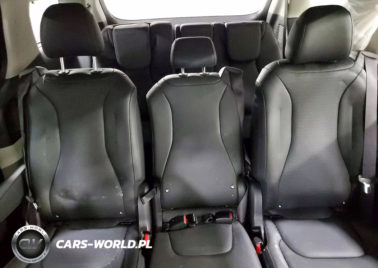 2024 Kia Carnival Sx Prestige VIN:KNDNE5H39R6392537 - 10