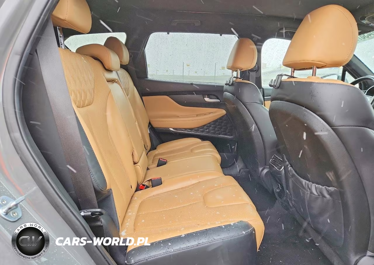 2021 Hyundai Santa Fe Calligraphy VIN:5NMS5DAL4MH360436 - 10