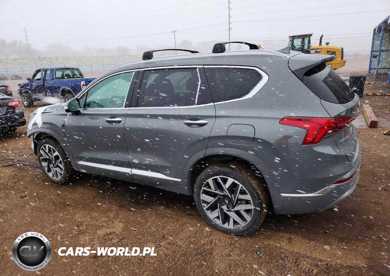 2021 Hyundai Santa Fe Calligraphy VIN:5NMS5DAL4MH360436 - 2
