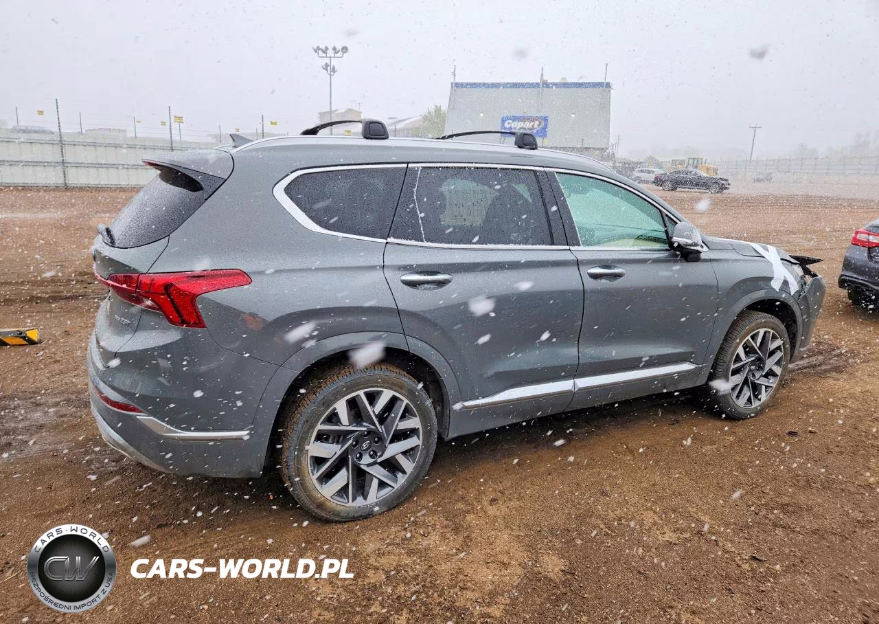 2021 Hyundai Santa Fe Calligraphy VIN:5NMS5DAL4MH360436 - 3