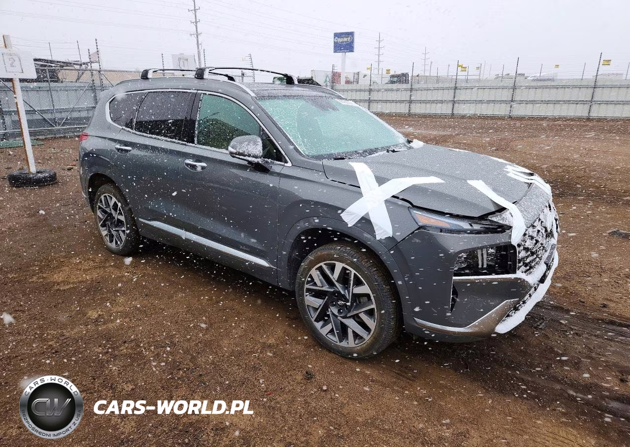 2021 Hyundai Santa Fe Calligraphy VIN:5NMS5DAL4MH360436 - 4