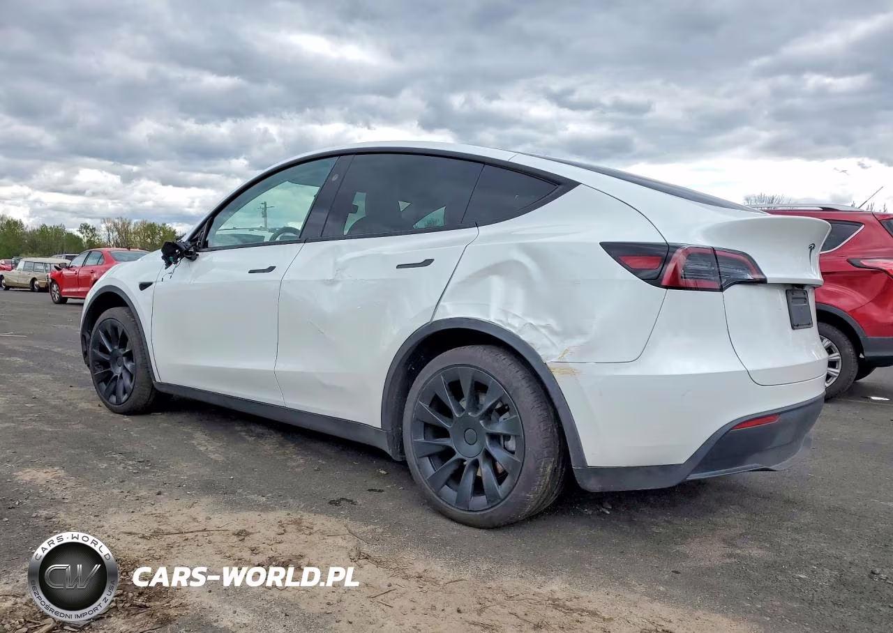 2025 Tesla Model Y VIN:7SAYGDED0SF281595 - 2