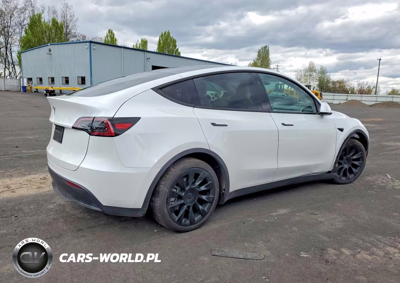 2025 Tesla Model Y VIN:7SAYGDED0SF281595 - 3