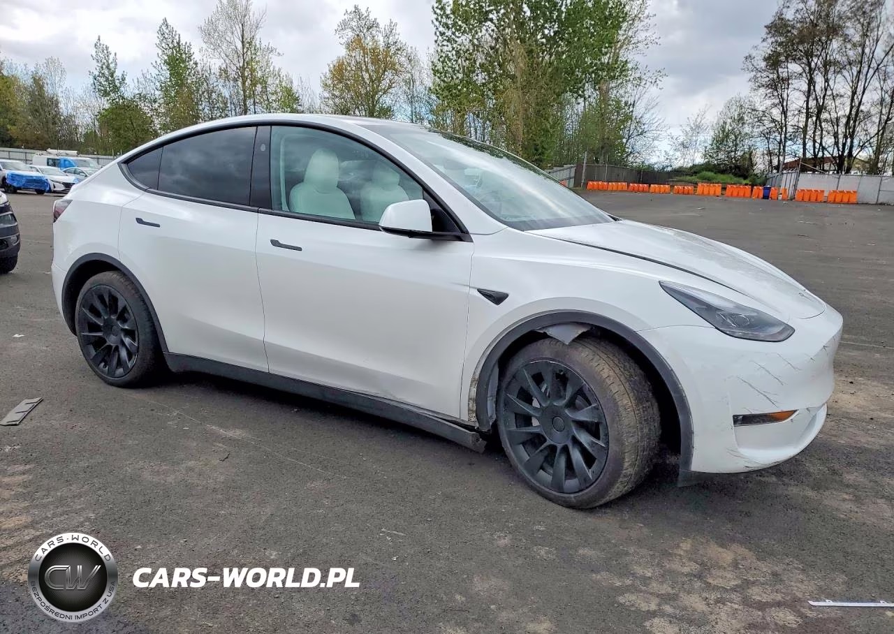 2025 Tesla Model Y VIN:7SAYGDED0SF281595 - 4