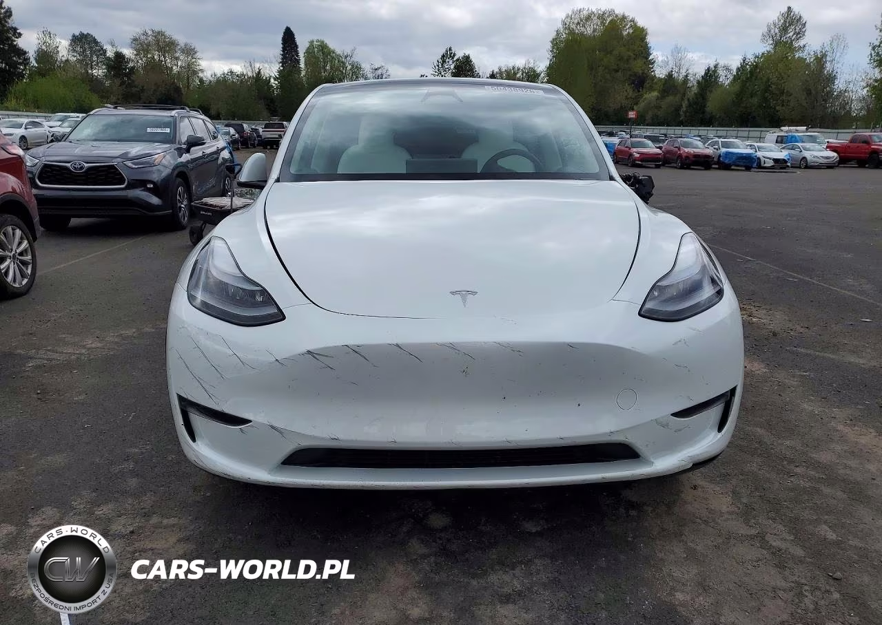 2025 Tesla Model Y VIN:7SAYGDED0SF281595 - 5