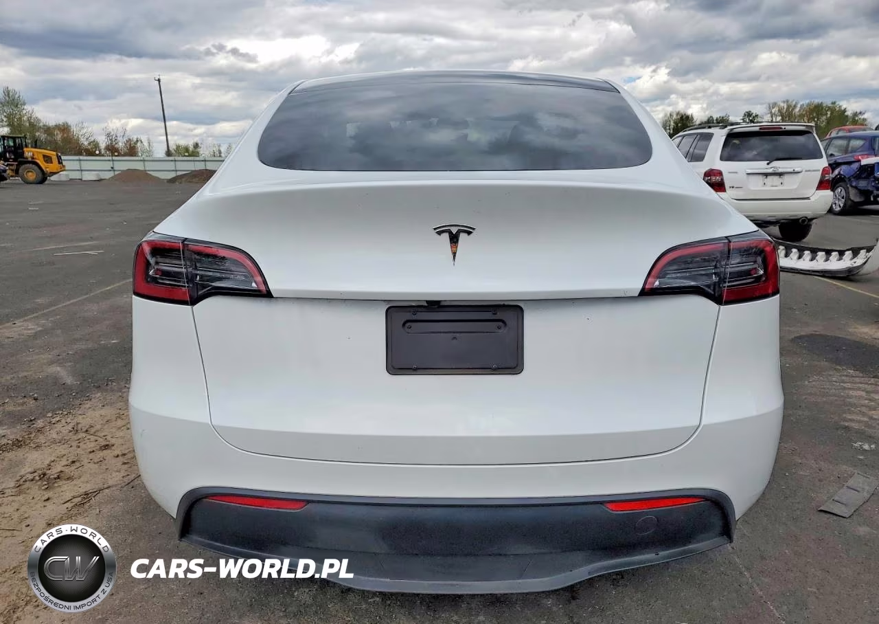 2025 Tesla Model Y VIN:7SAYGDED0SF281595 - 6