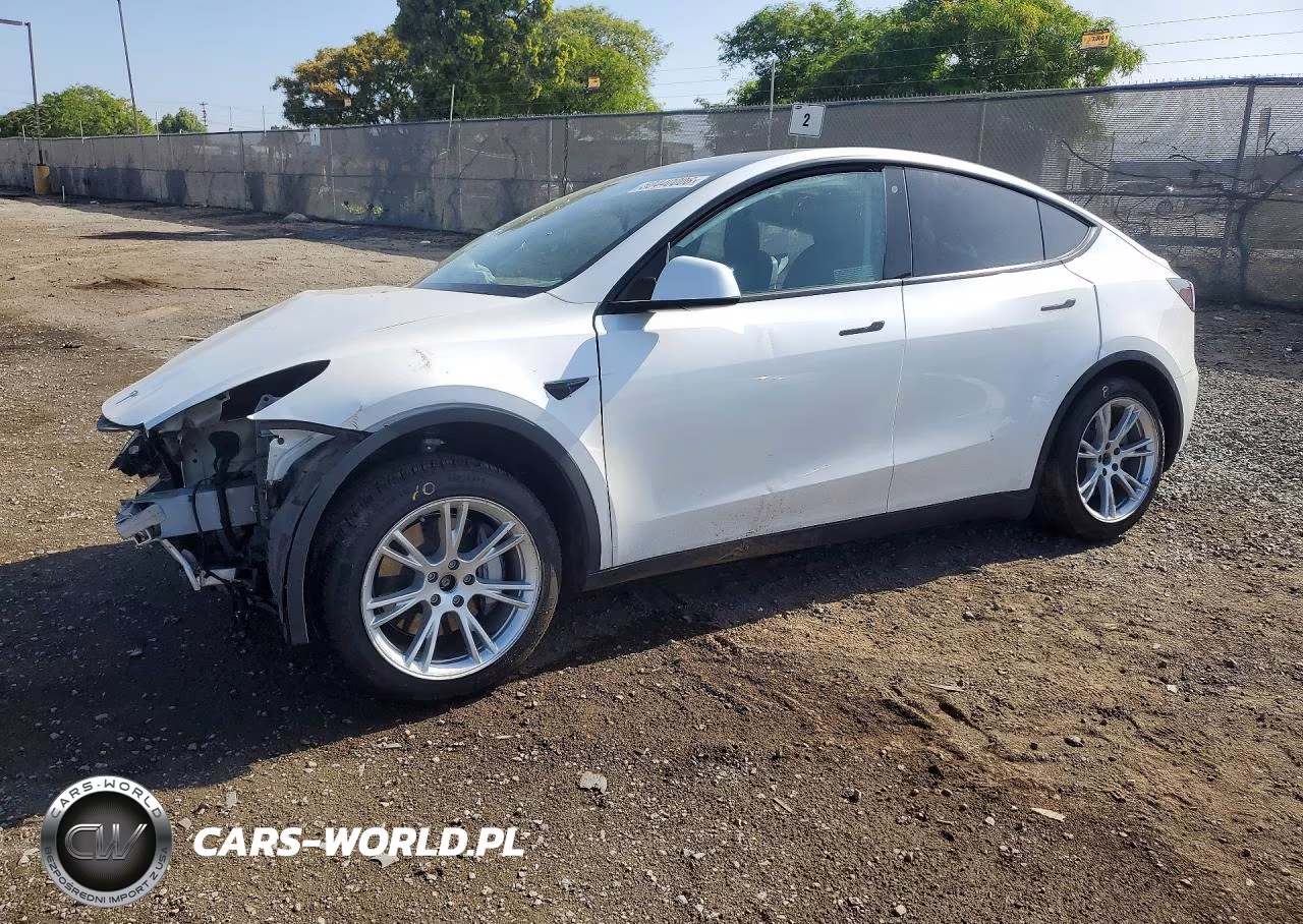 2020 Tesla Model Y