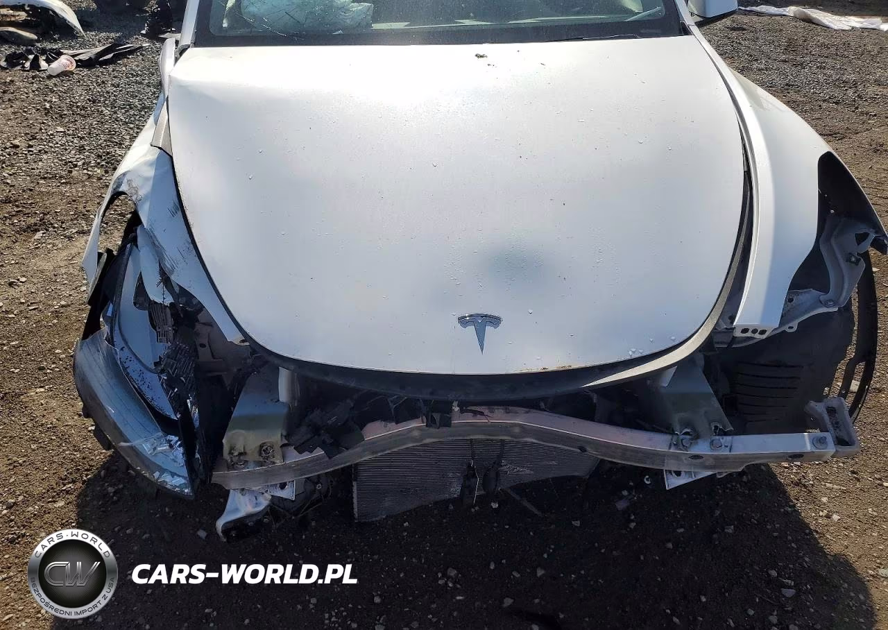 2020 Tesla Model Y VIN:5YJYGDEE2LF053976 - 12