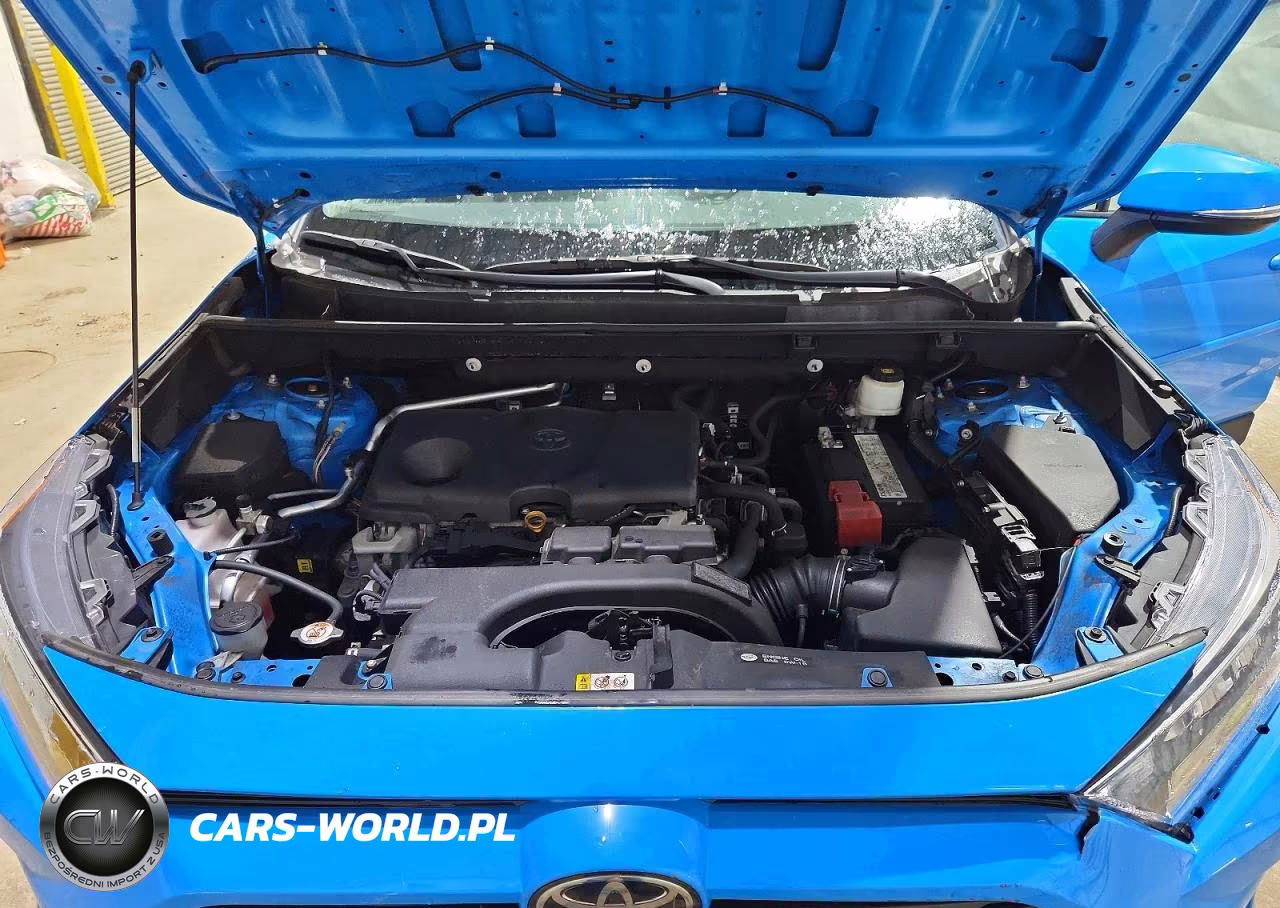 2019 Toyota Rav4 Xle VIN:2T3P1RFV5KC047897 - 12