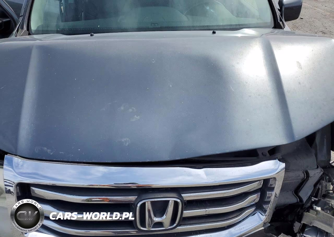2013 Honda Pilot Exl VIN:5FNYF4H51DB026834 - 12