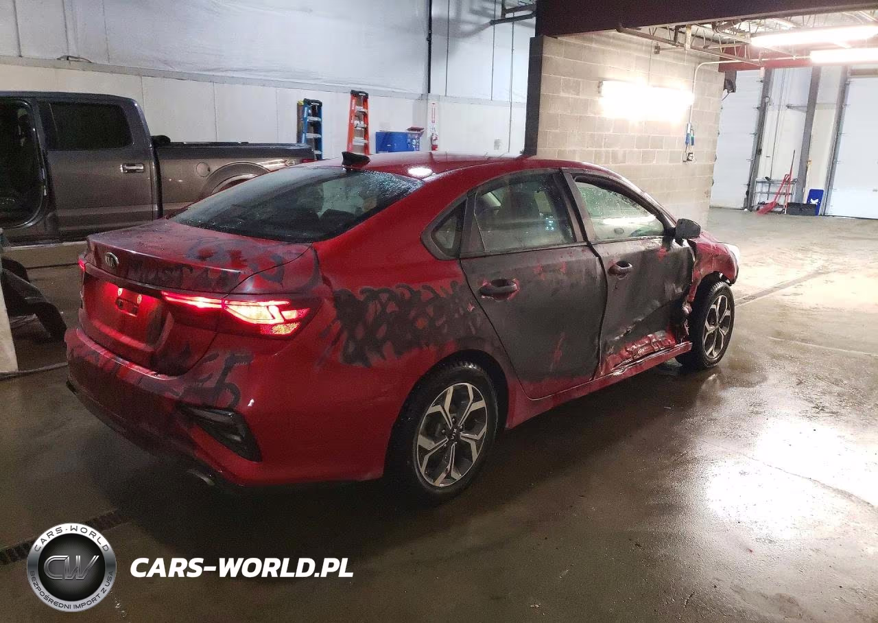 2019 Kia Forte Lxs VIN:3KPF24AD6KE076460 - 3