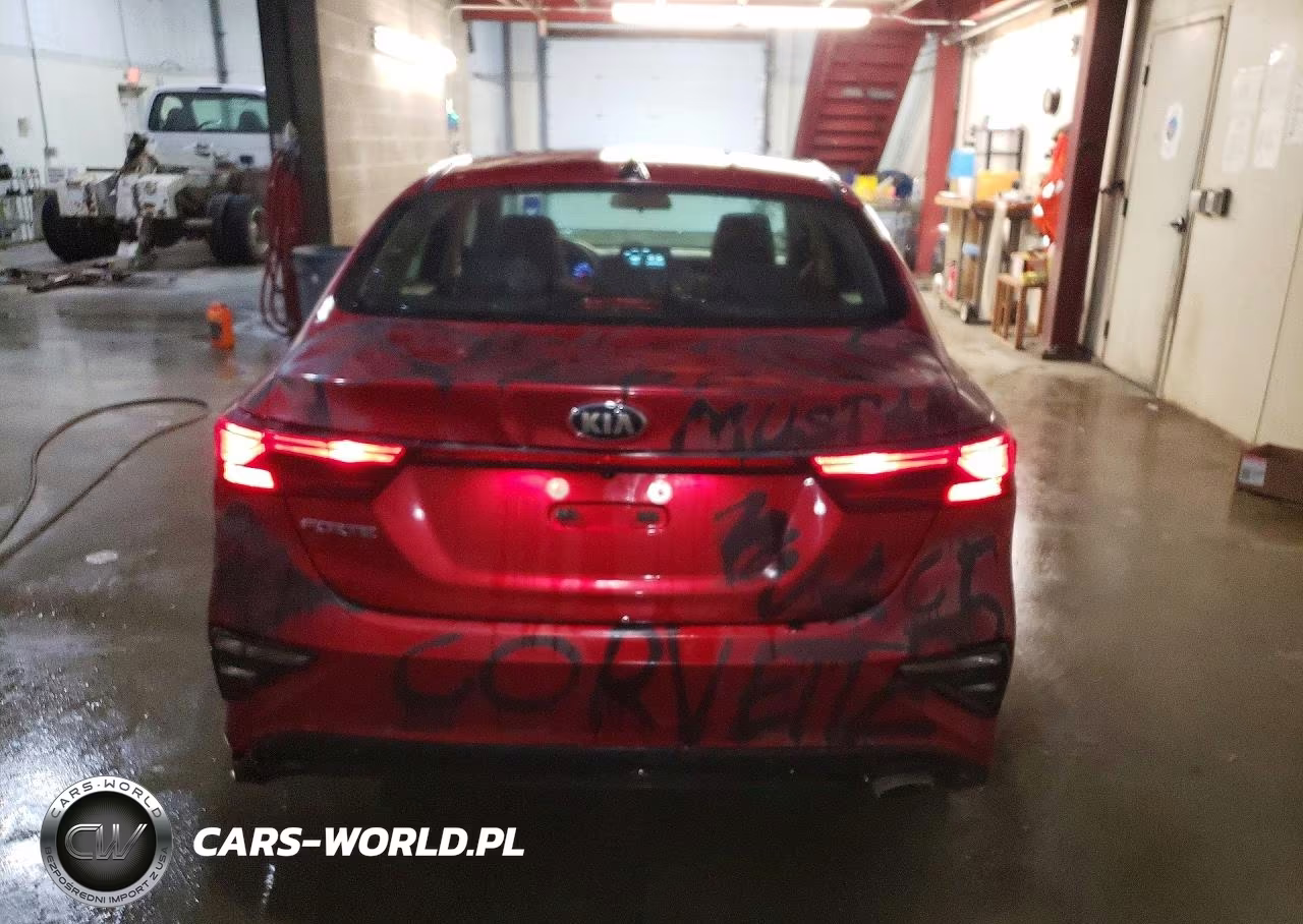 2019 Kia Forte Lxs VIN:3KPF24AD6KE076460 - 6