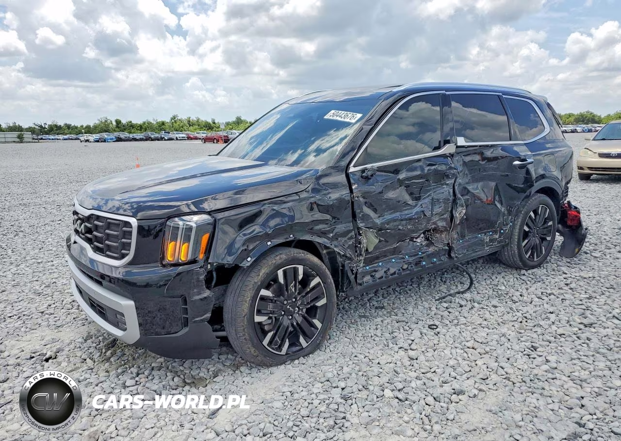 2025 Kia Telluride Sx VIN:5XYP54GCXSG651494 - 1