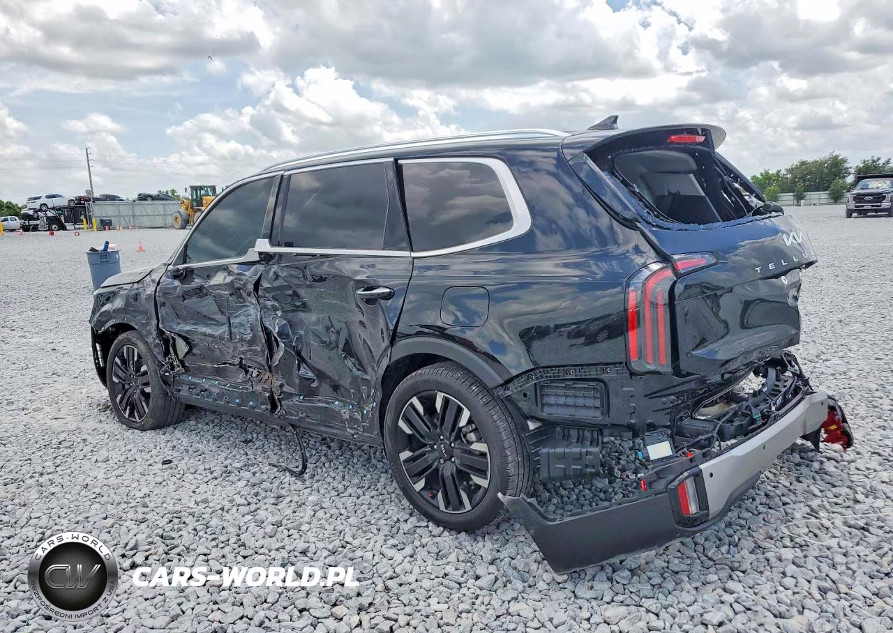 2025 Kia Telluride Sx VIN:5XYP54GCXSG651494 - 2