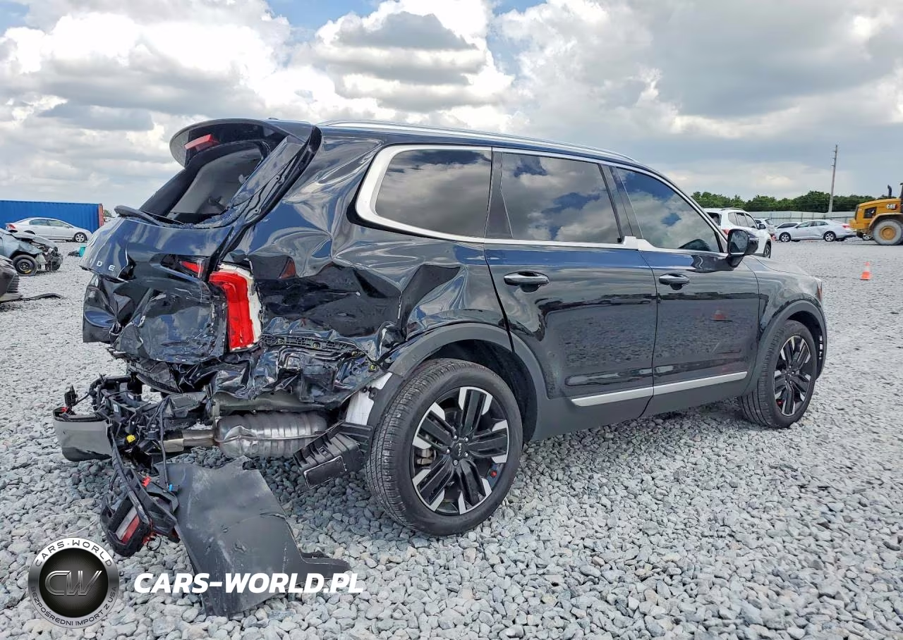 2025 Kia Telluride Sx VIN:5XYP54GCXSG651494 - 3